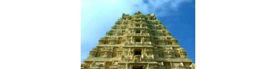 49. திருநிலாத்திங்கள் துண்டம் (ஏகாம்பரநாதர் கோயில்)